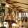 Hotel Forton Stará Lesná